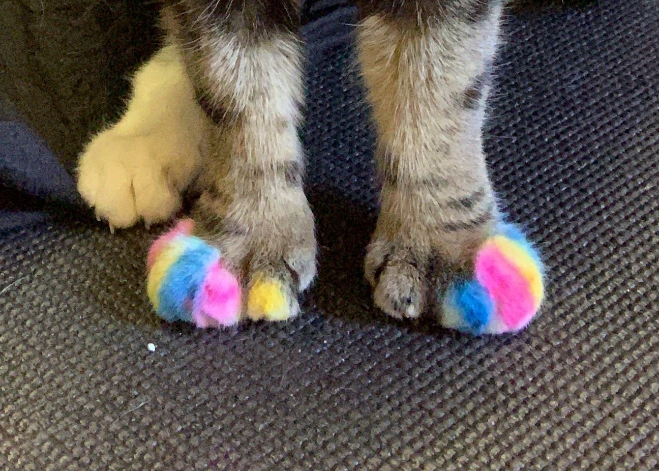 colour toes
